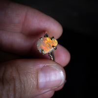 Fire Prism