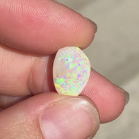 Custom Opal 6