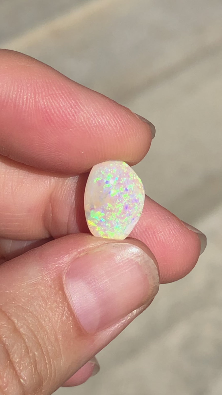 Custom Opal 6