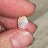 Custom Opal 1