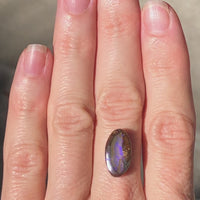 Custom Opal 7