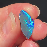 Peacock Opal 4