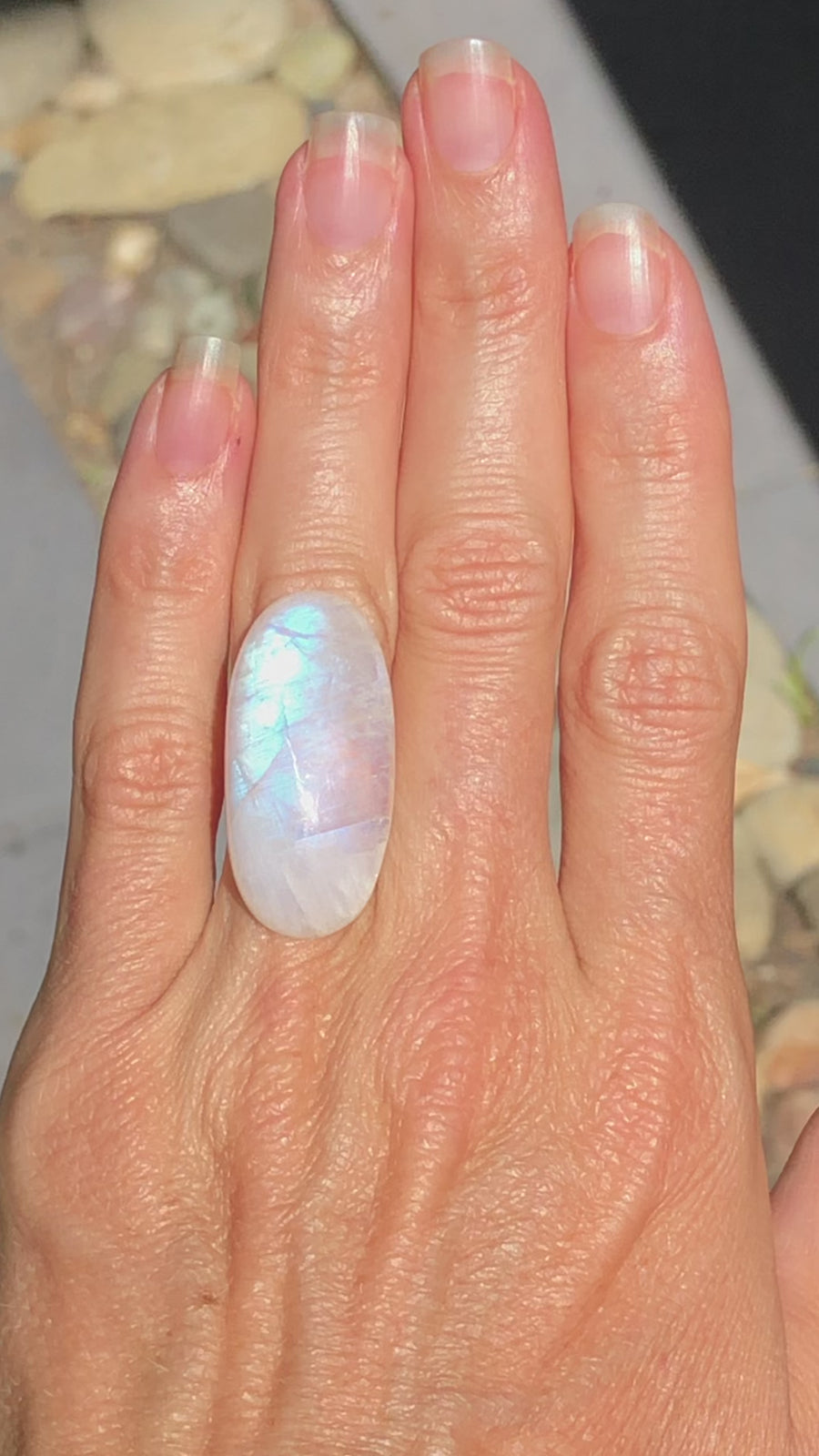 Large oval Rainbow Moonstone