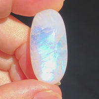 Large oval Rainbow Moonstone