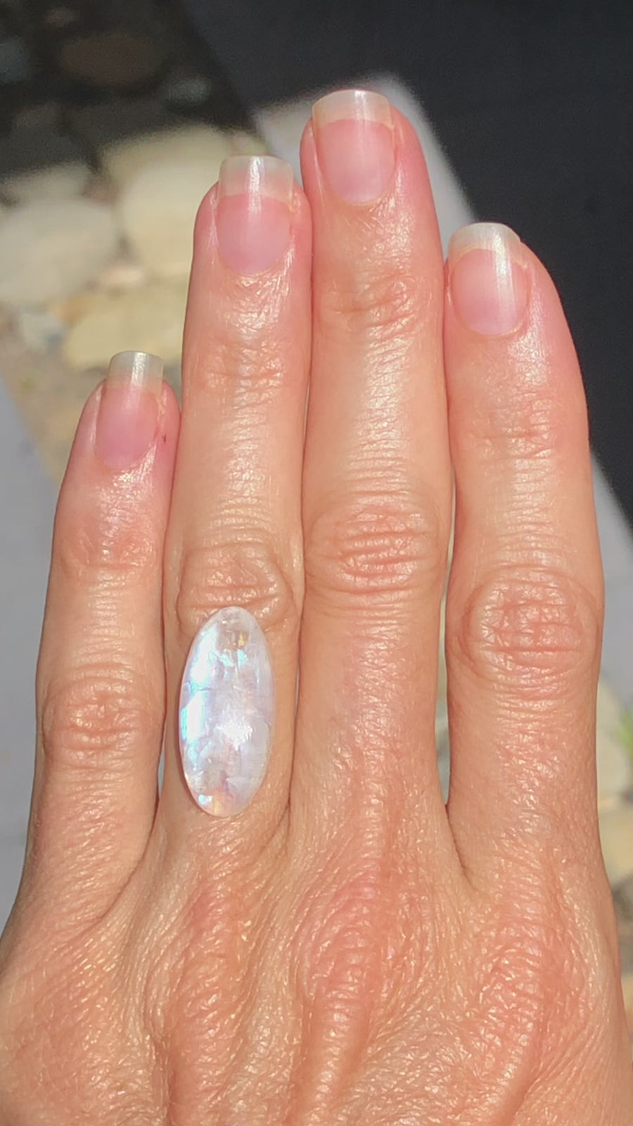 Rainbow Moonstone oval